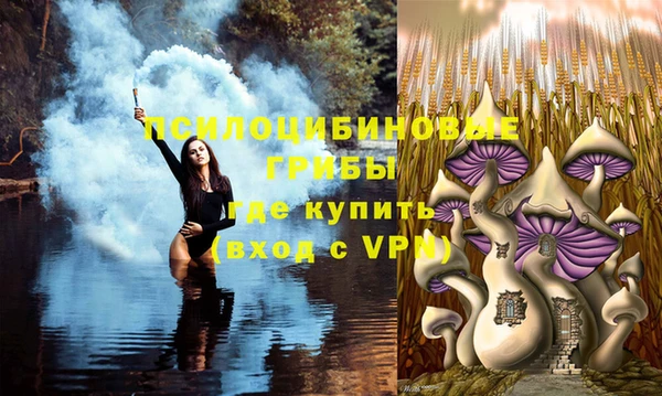 гидропоника Алексеевка